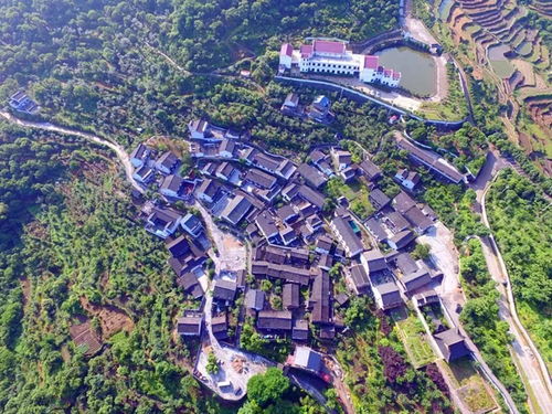 嵊州新昌人常去的免費寶地，如今榮膺國家4A級景區